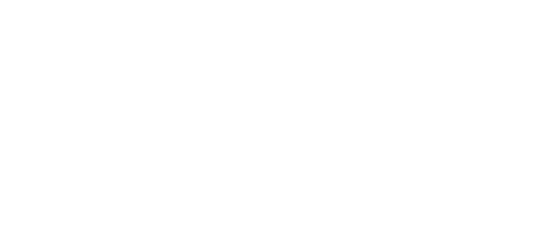 AmerConex — Digital Solution A.M.E.R.